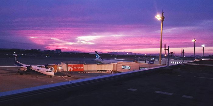 愛媛の地で70年以上にわたり育まれてきた銘菓「母恵夢」愛媛のお土産にどうぞ