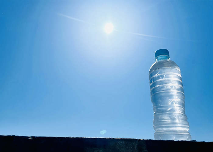 贈りものに選ばれる理由と季節のトレンド