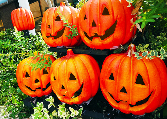 仮装をする理由とジャックオーランタンの意味