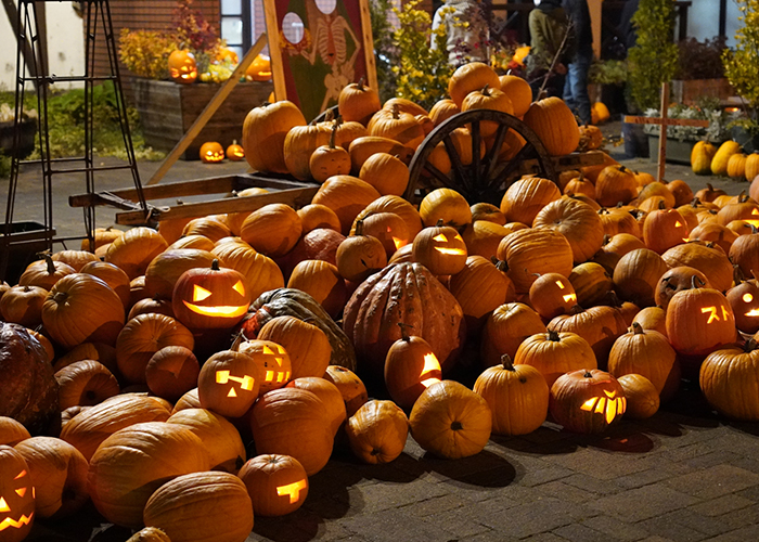 地域のイベントに参加する