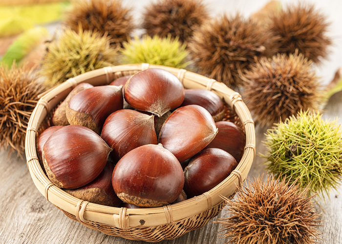 新鮮で美味しい栗の見分け方