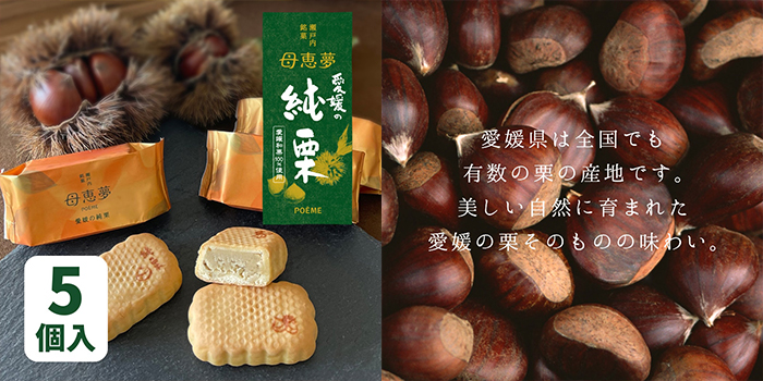 ベビー母恵夢「愛媛の純栗」5個入り