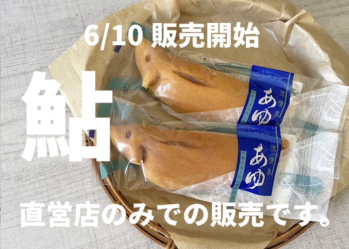 初夏を感じる和菓子【鮎】6月10日（月）から販売が始まります。